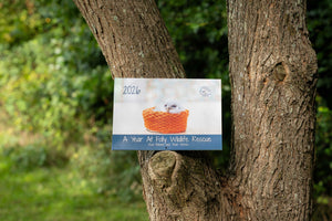 Folly Wildlife Centre 2026 Calendar